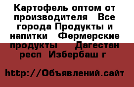 Картофель оптом от производителя - Все города Продукты и напитки » Фермерские продукты   . Дагестан респ.,Избербаш г.